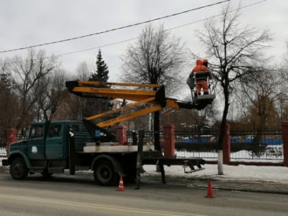 Вжик-вжик, уноси готовенькое: объявлено, где подрежут пейзаж Сызрани