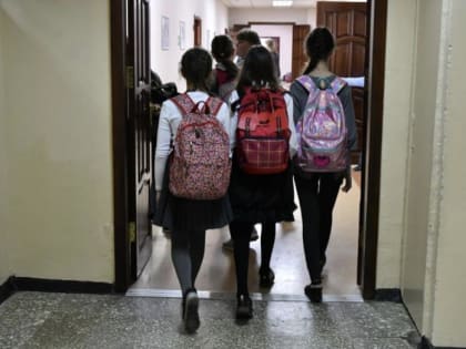 В некоторых самарских школах 19 декабря ввели дистанционное обучение