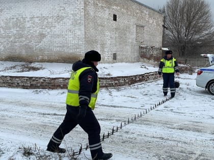 В ГИБДД рассказали, против кого будут использовать спецсредство «Диана»