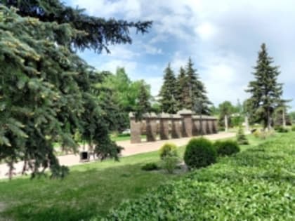 Аллея Славы Тольятти пополнится новыми именами