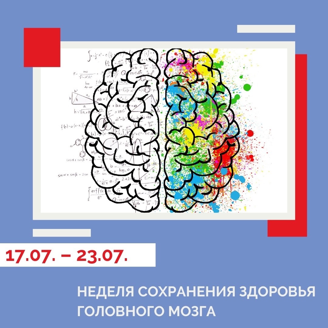 Неделя сохранения здоровья мозга. Карта мозга человека с описанием зон. Центр воли в головном мозге.