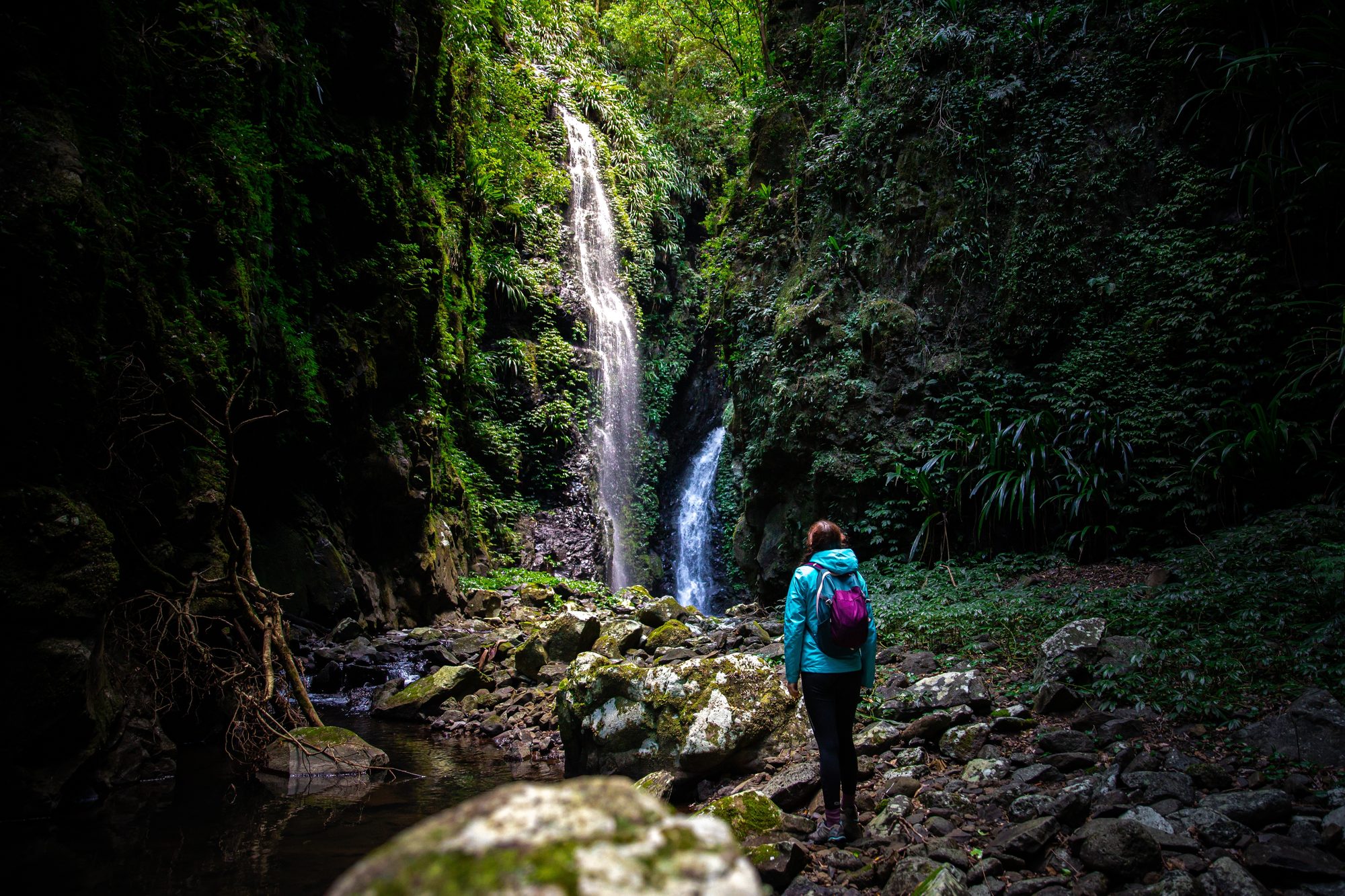 Rainforest waterfall in regional Queensland