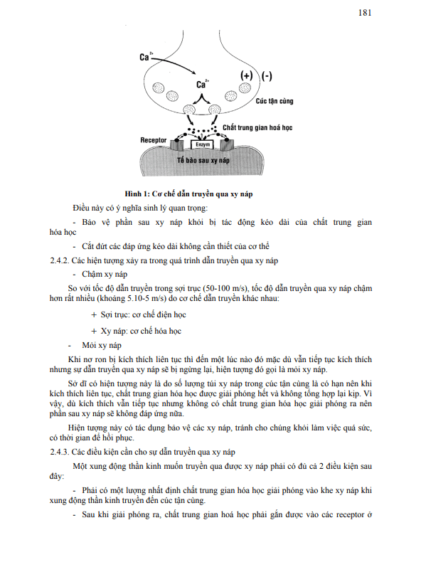 Hình ảnh tài liệu