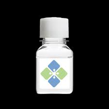 12-CIS-HENEICOSENOICACID
