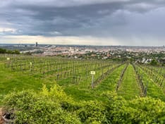 Wieninger am Nussberg