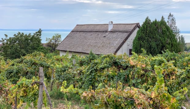 old-winery-building-balaton