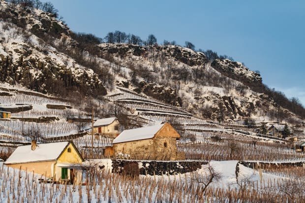somlo-wine-region-winter
