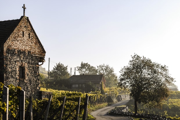 somlo-wine-region-hillside-road
