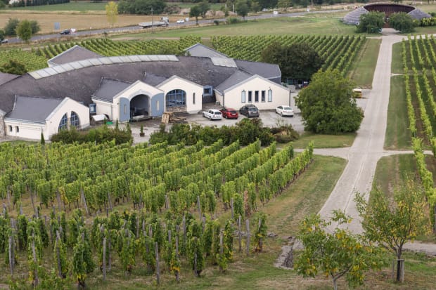 disznoko-winery-tokaj