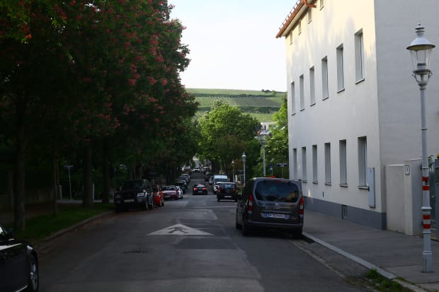 vienna vineyards nussberg