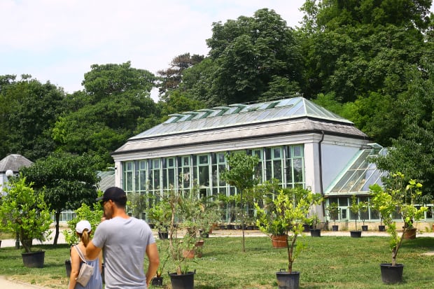 festetics palmahaz greenhouse