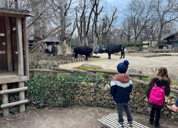 schonbrunn zoo vienna