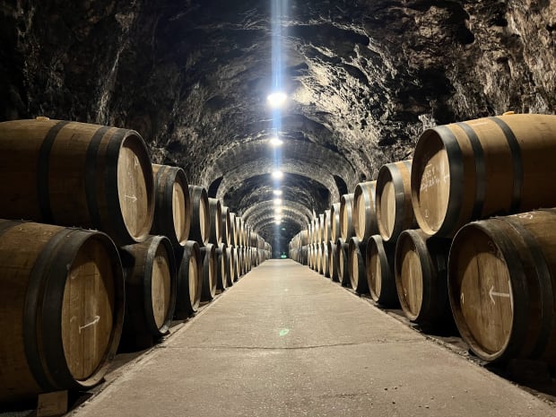 tokaj wine cellar disznoko