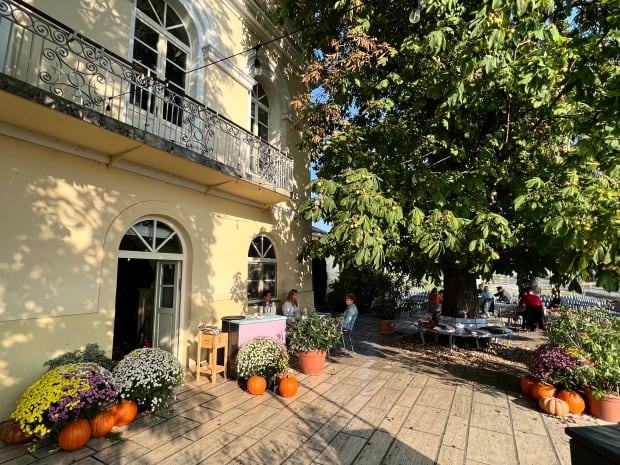sarga borhaz tokaj disznókő