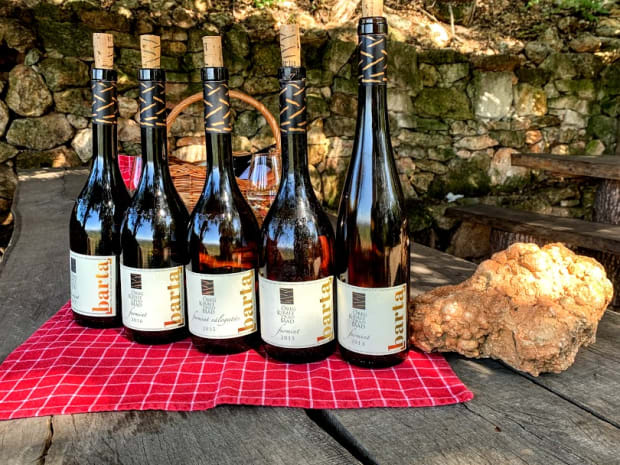 barta-winery-tokaj