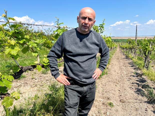 raspi sopron jozsef horvath
