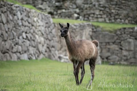 peru photos