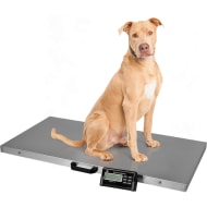 GUTSTARK Bascula Veterinaria Digital 300 kg Acero Inoxidable Color Plata