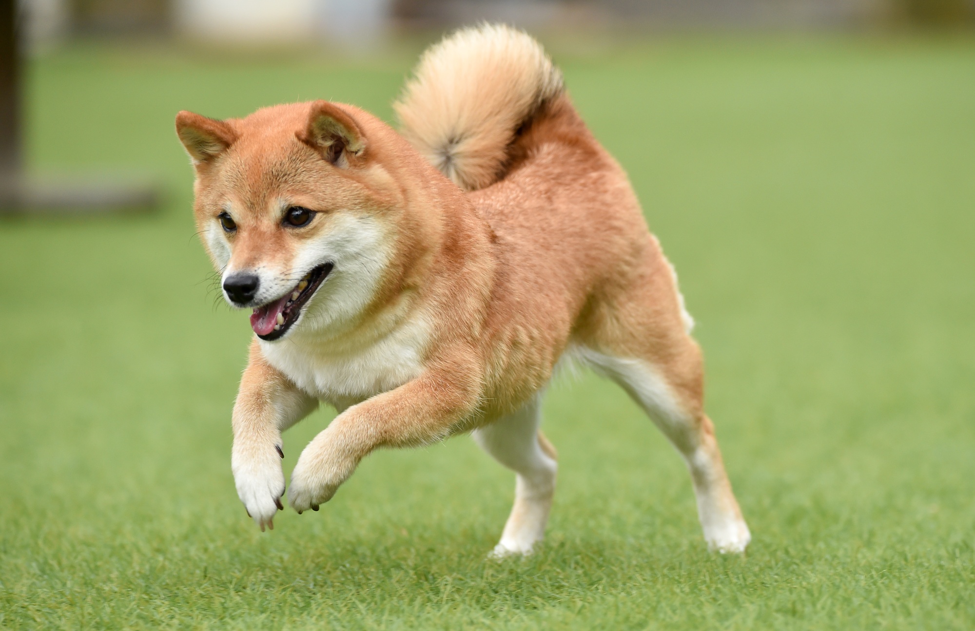 Datagrahersの写真