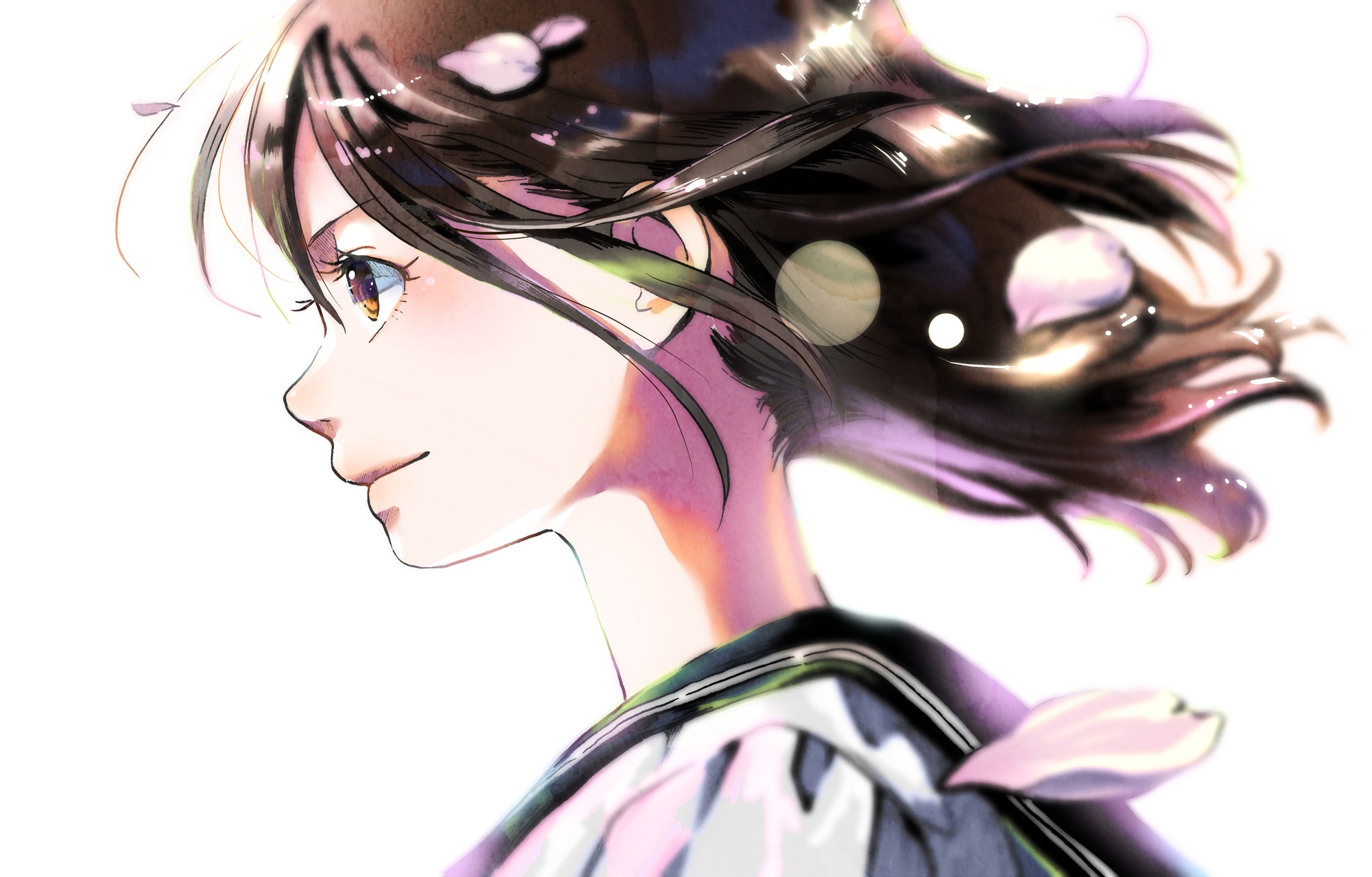 Datagrahersの画像・イラスト