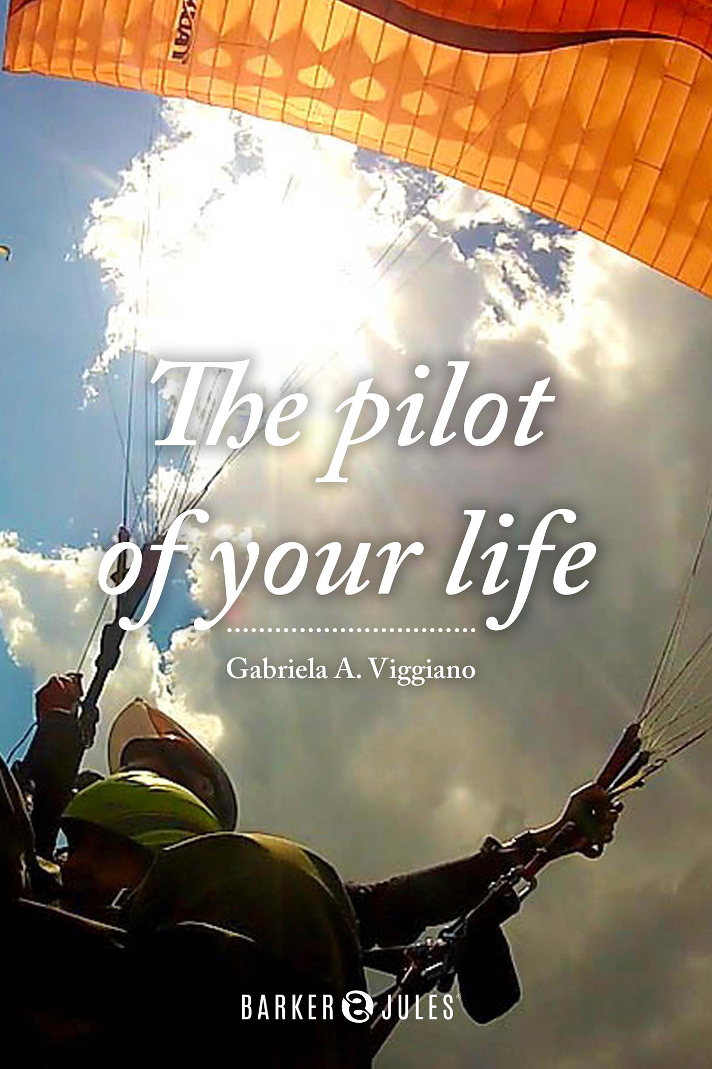 Book cover: The pilot of you life