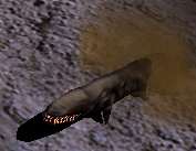 להרוג 1200 Larva