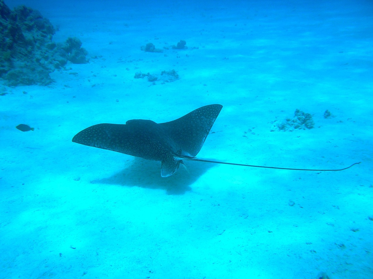 Ägypten Sharm el Sheikh Sharm el Sheikh