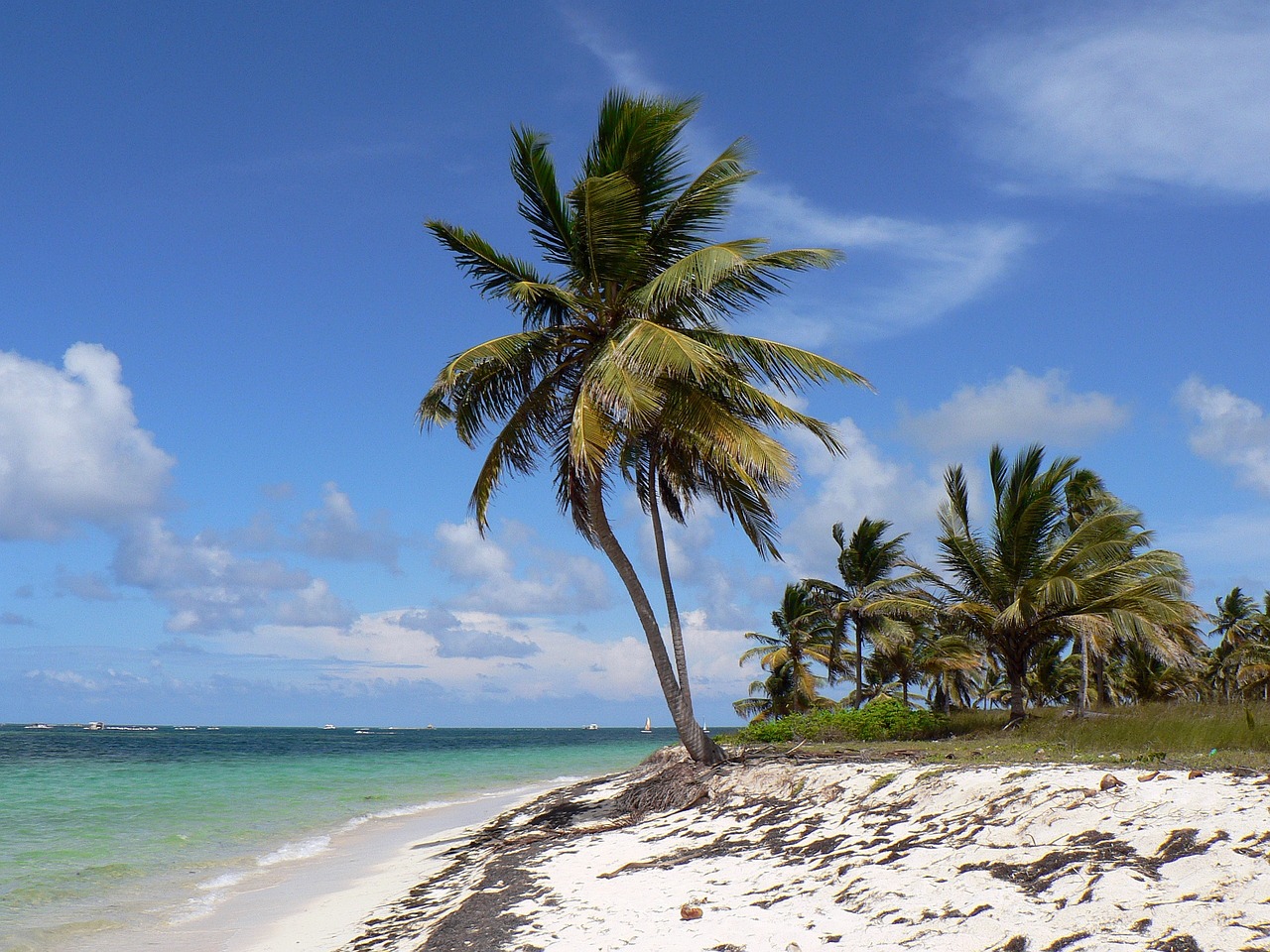 Dominikanische Republik Punta Cana Punta Cana