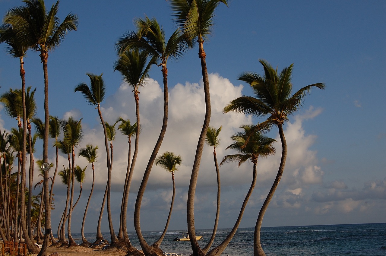 Dominikanische Republik Punta Cana Punta Cana