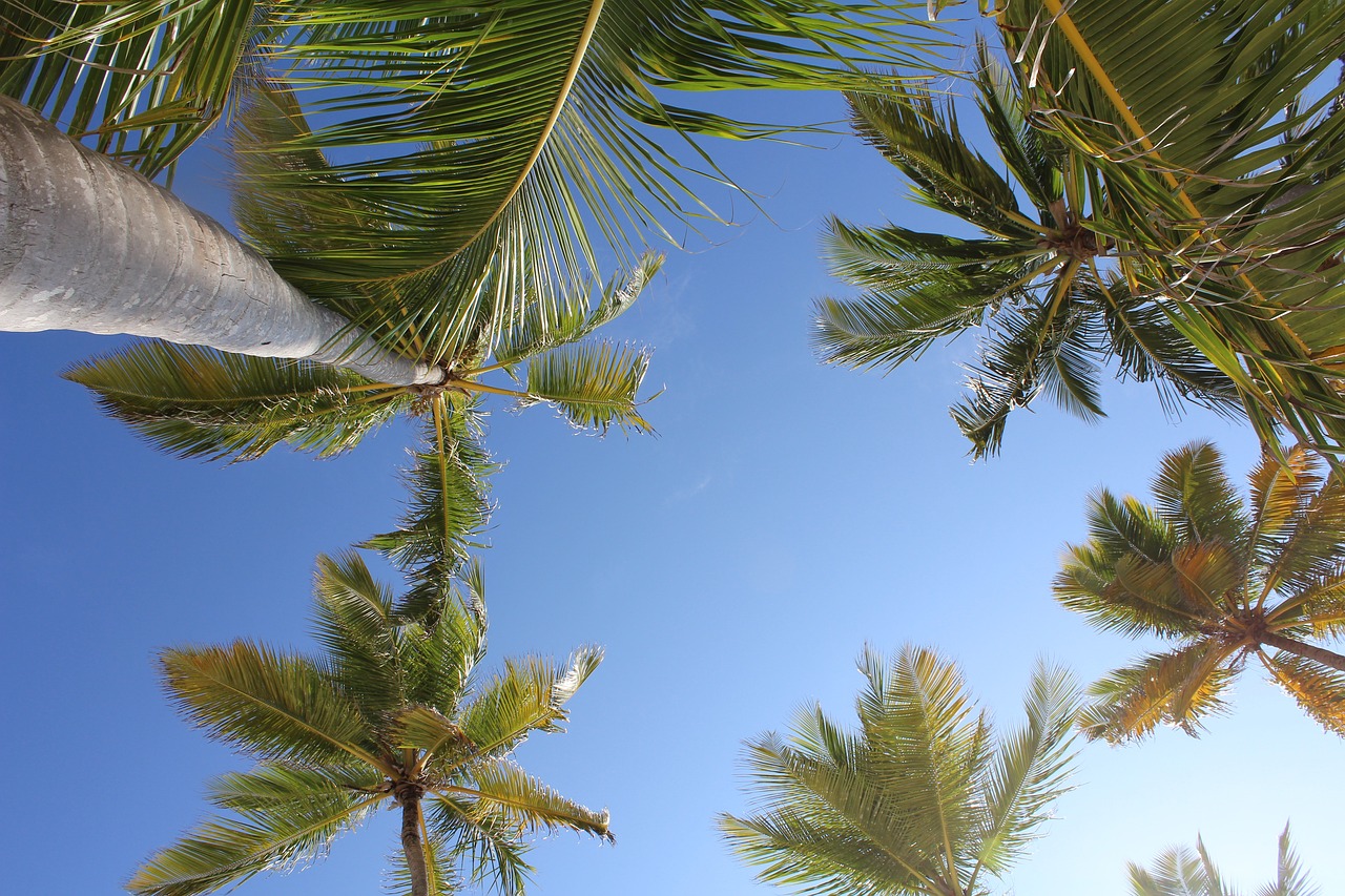 Dominikanische Republik Punta Cana Punta Cana