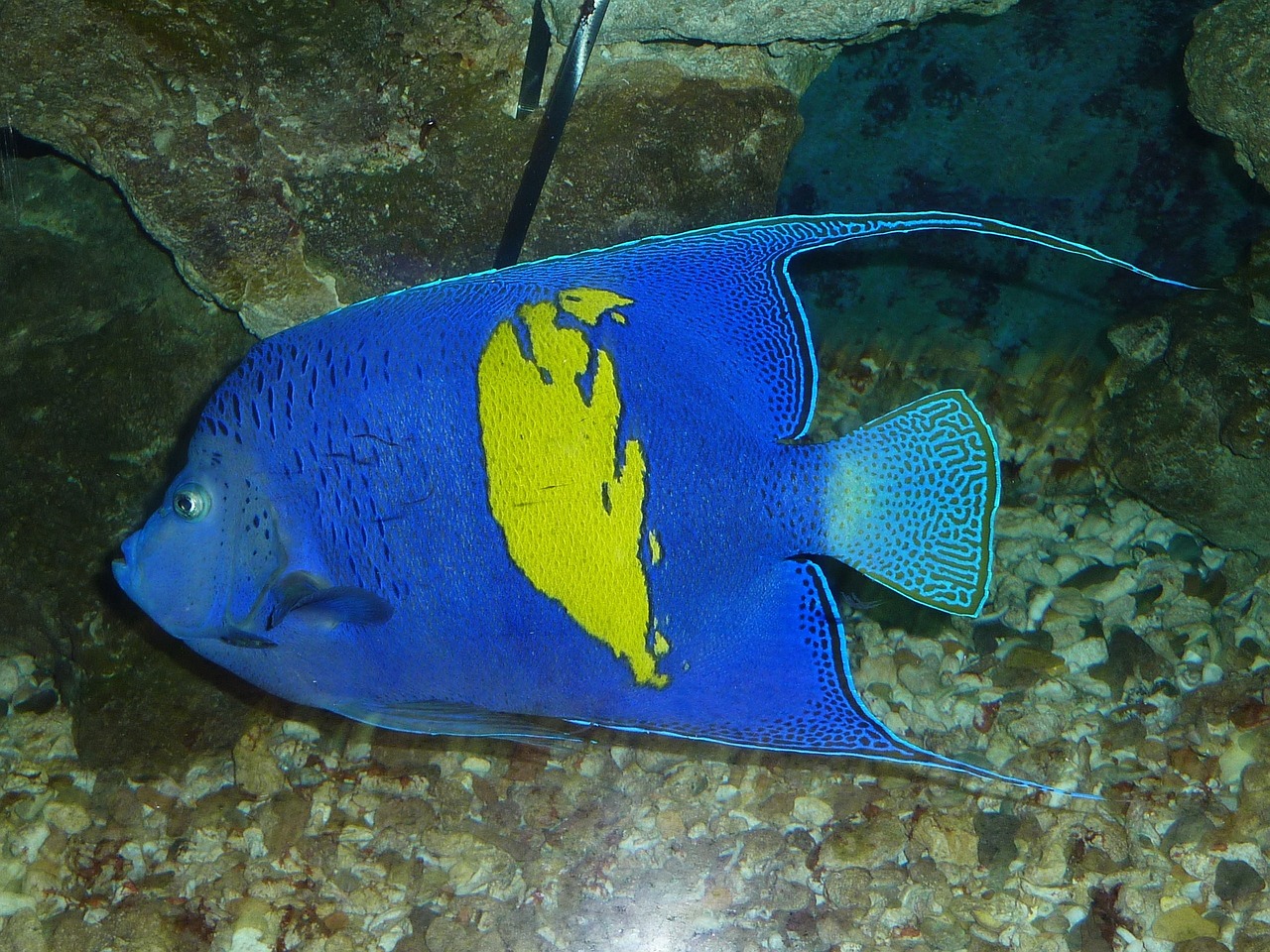 Ägypten Hurghada Hurghada
