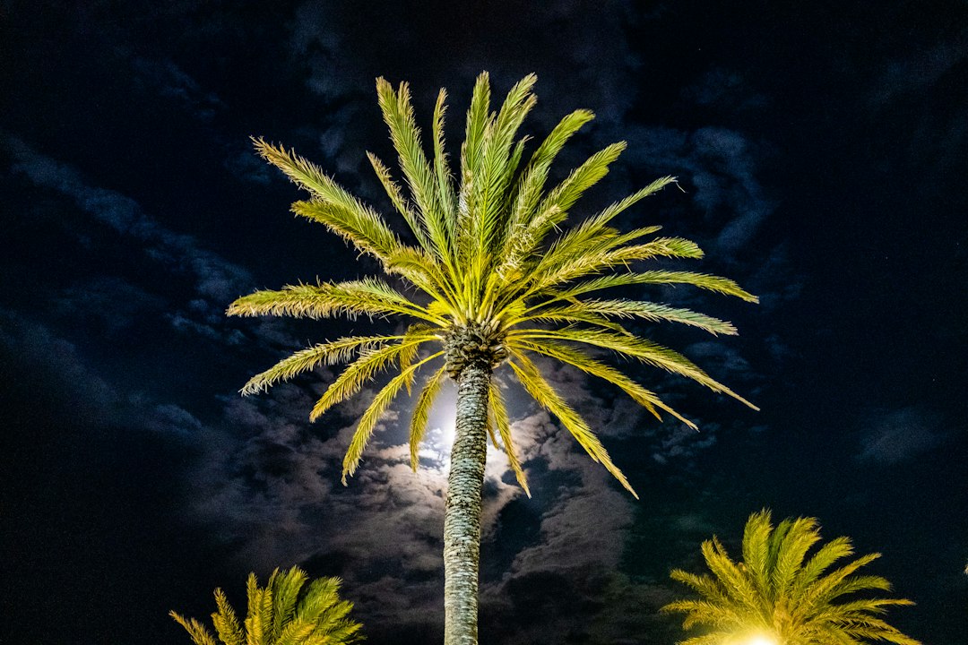 Beach Image 1