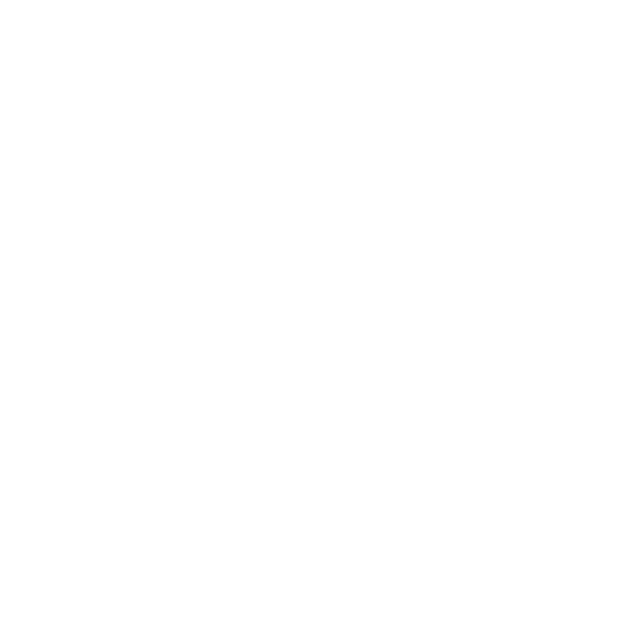 Ninebytes Logo
