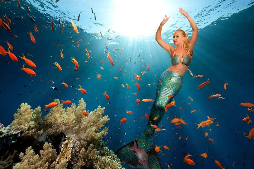 How do Mermaids Communicate?