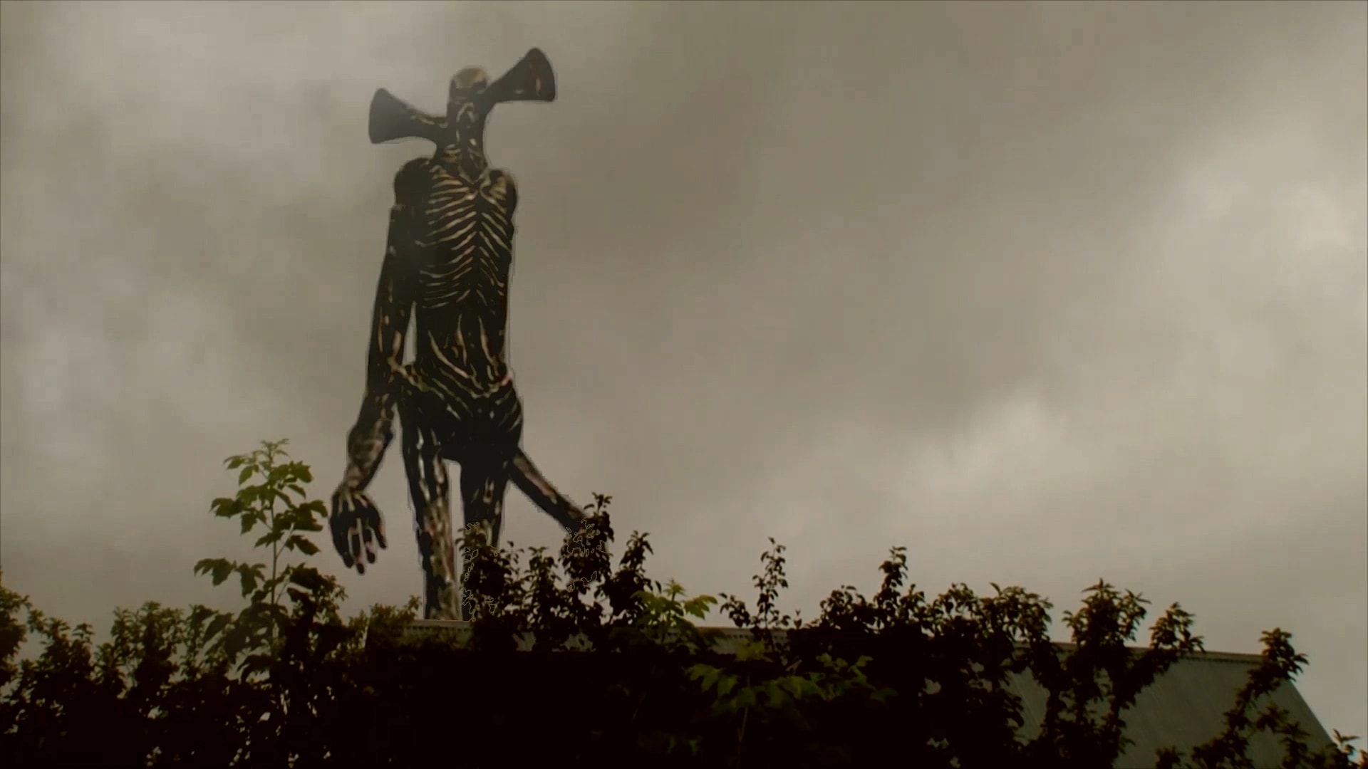 Could this be the real siren head? : r/sirenhead