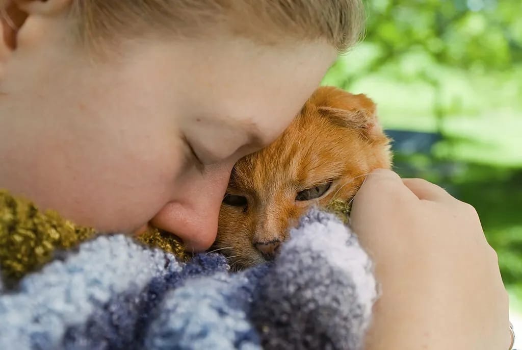 Do Cats Know When They Are Dying?