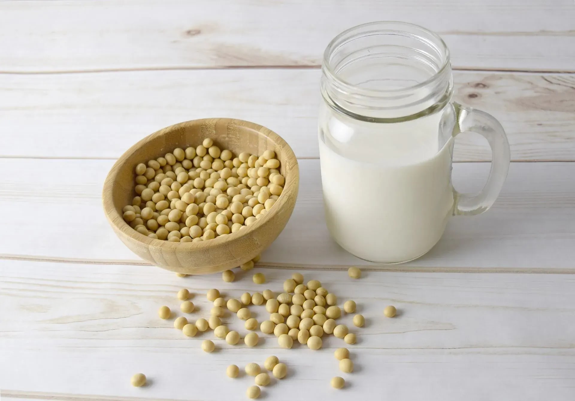 Can Cats Drink Soy Milk