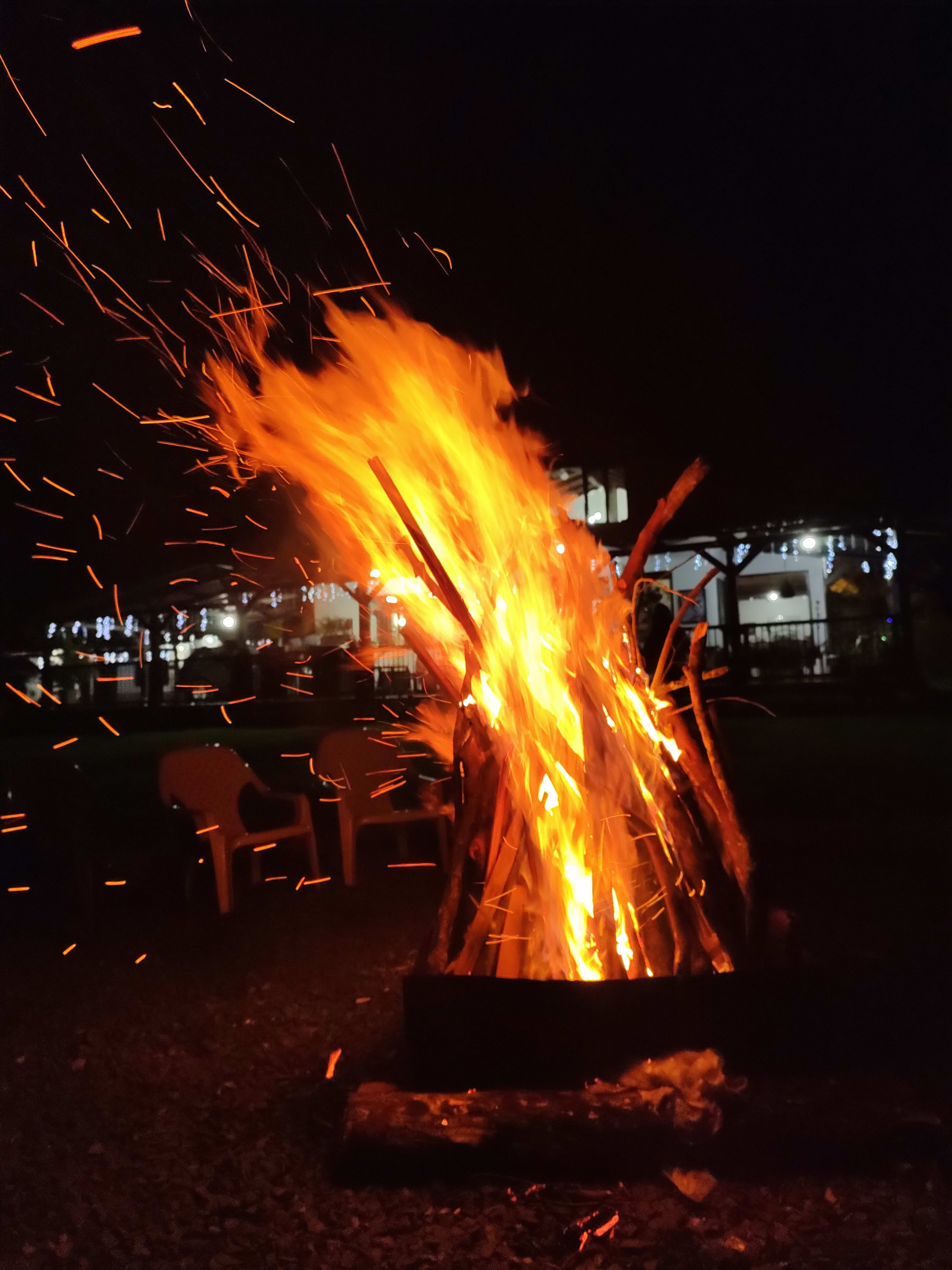 Colibrí fire 