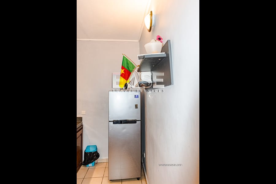 Beautiful furnished studio AV - Bonapriso, Douala 11