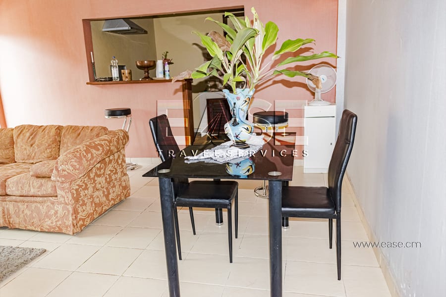 Studio meublé luxueux GM - Yaoundé Emana 4