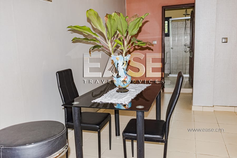 Studio meublé luxueux GM - Yaoundé Emana 12