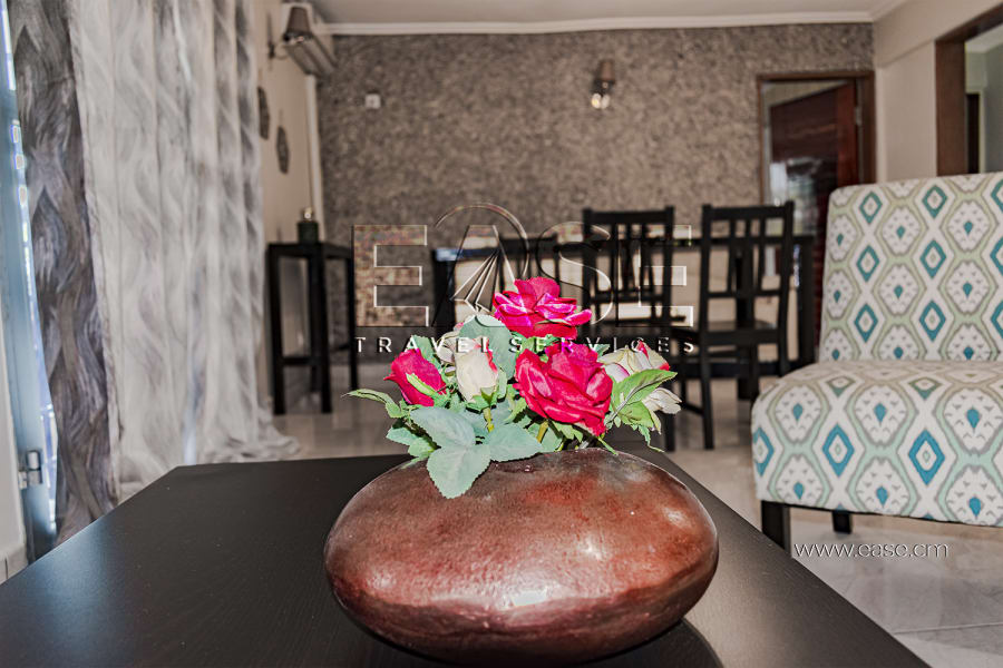 Très bel appartement meublé AT - Douala, Makepe  9