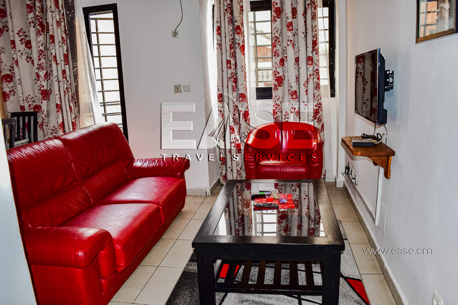 Beautiful furnished studio EYS1 - Douala, Bonapriso 3