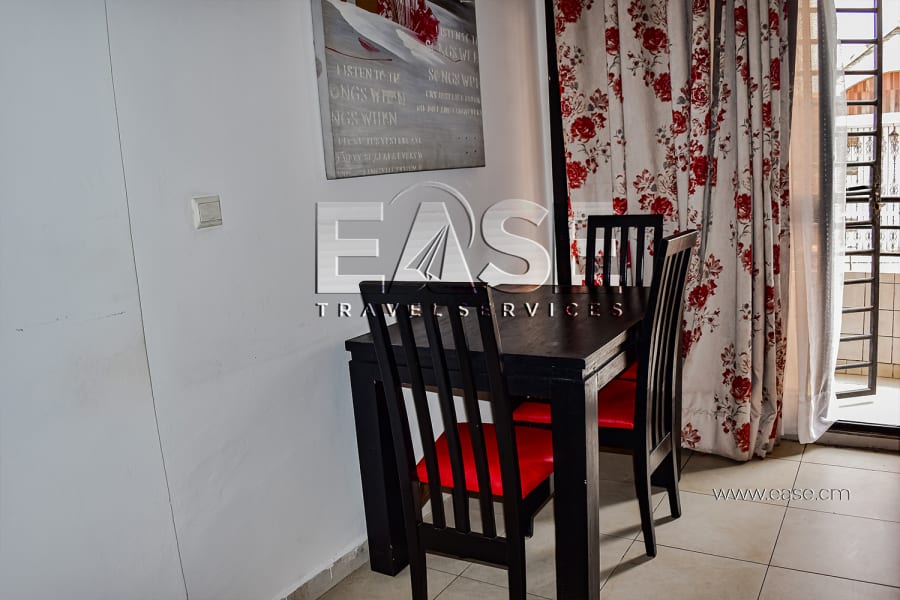 Beautiful furnished studio EYS1 - Douala, Bonapriso 11