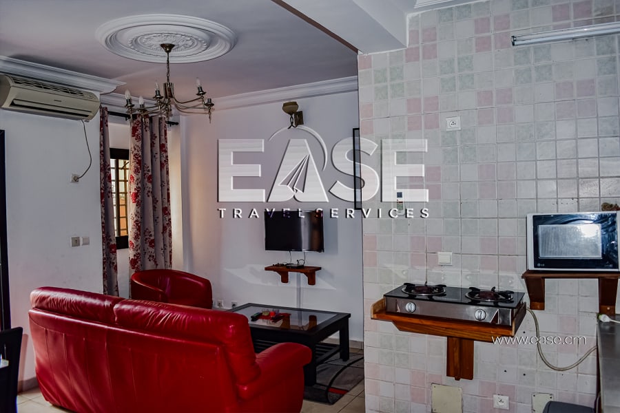 Beautiful furnished studio EYS1 - Douala, Bonapriso 20