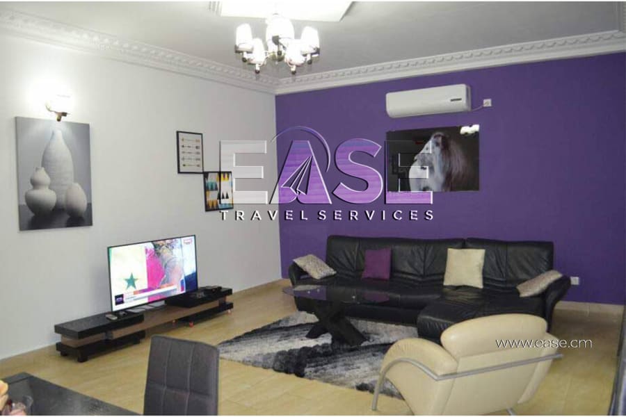 Very nice furnished apartment purple living room - Douala Ndogbong 1