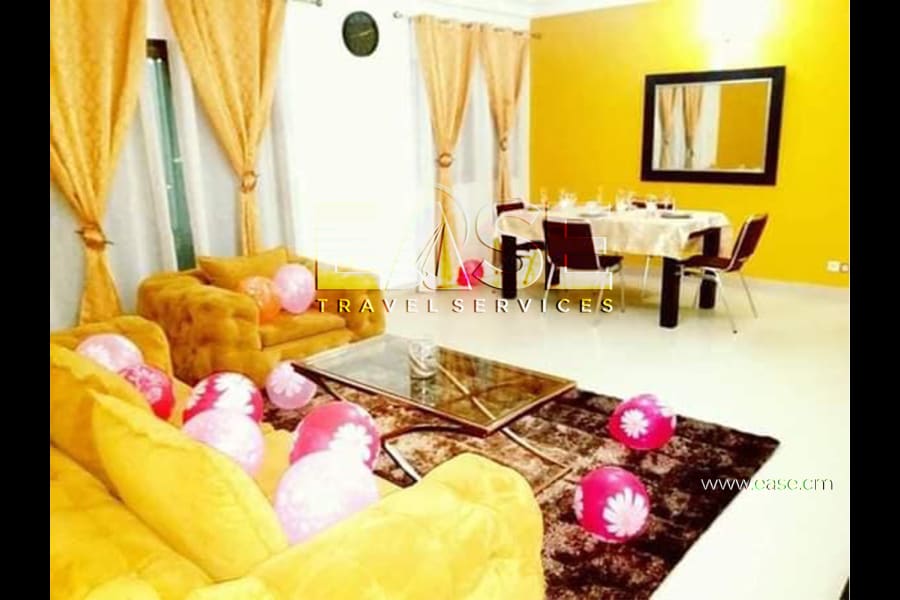 Very Nice Apartment furnished Belgian color salon - Douala Ndogbong 2