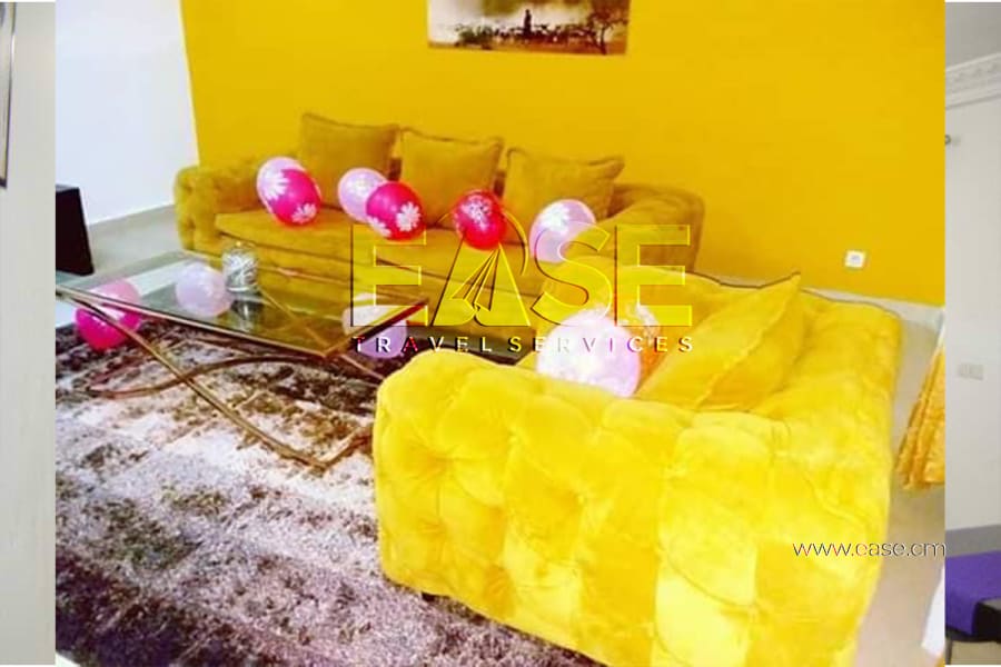 Very Nice Apartment furnished Belgian color salon - Douala Ndogbong 4