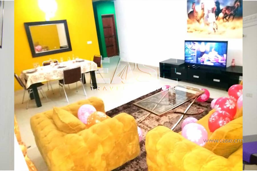 Very Nice Apartment furnished Belgian color salon - Douala Ndogbong 5
