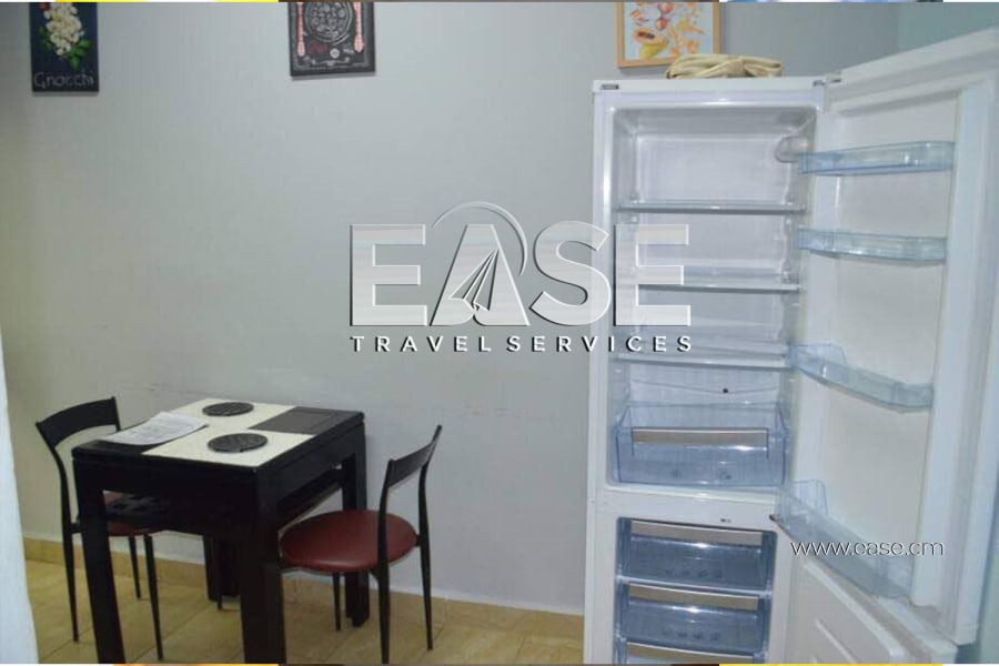 Very Nice Apartment furnished Belgian color salon - Douala Ndogbong 9